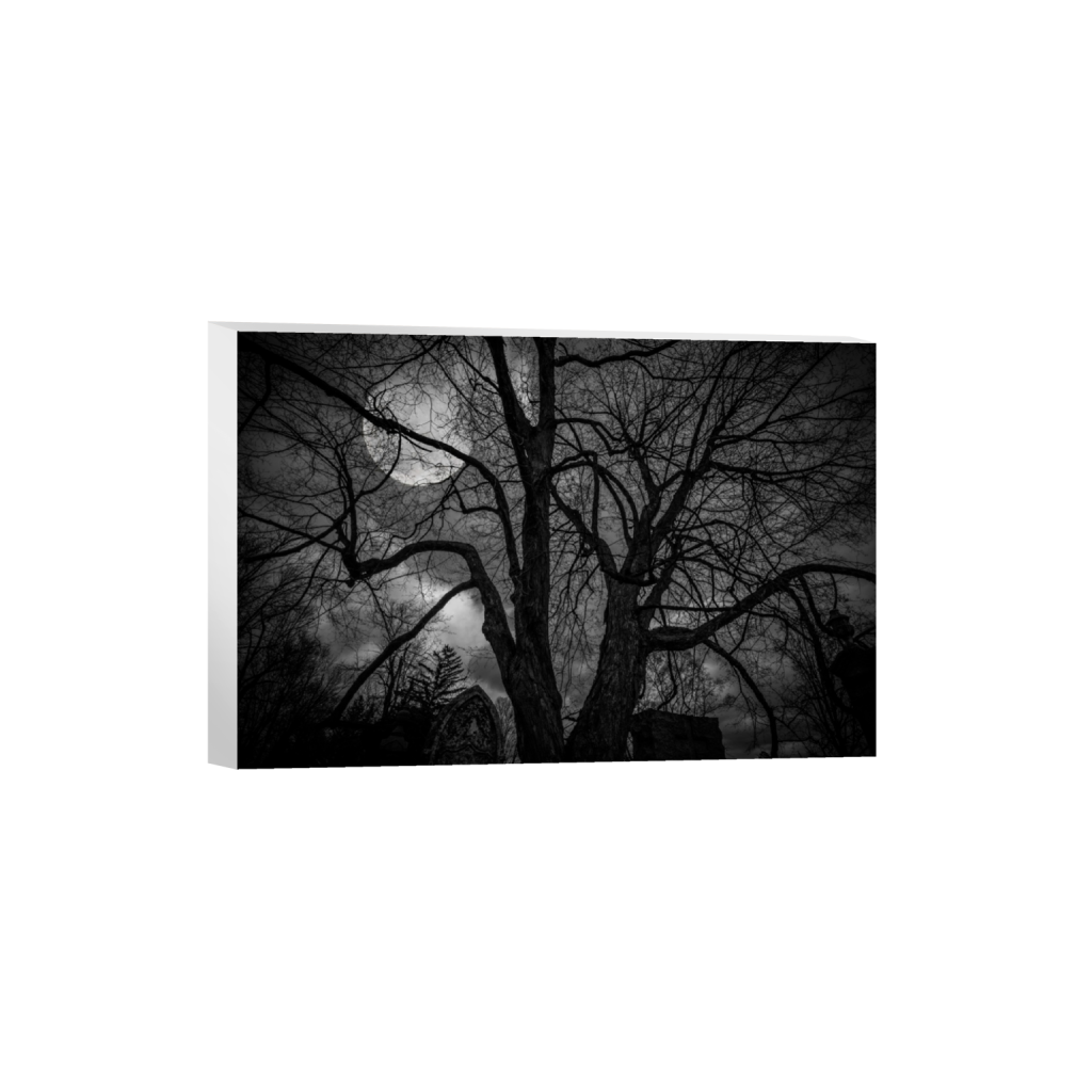canvas_rectangle2_3_0_58_1400_933_0_false_ffffff_0_0.png