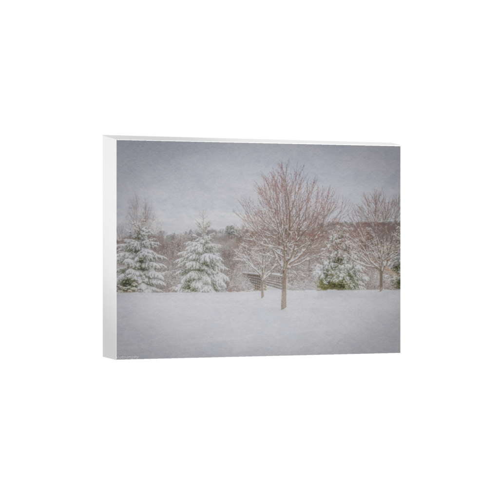 canvas_rectangle3_4_395_0_6329_4747_0_false_ffffff_0_0.png