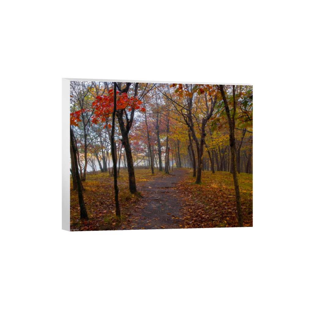 canvas_rectangle4_5_498_0_5020_4016_0_false_ffffff_0_0.png