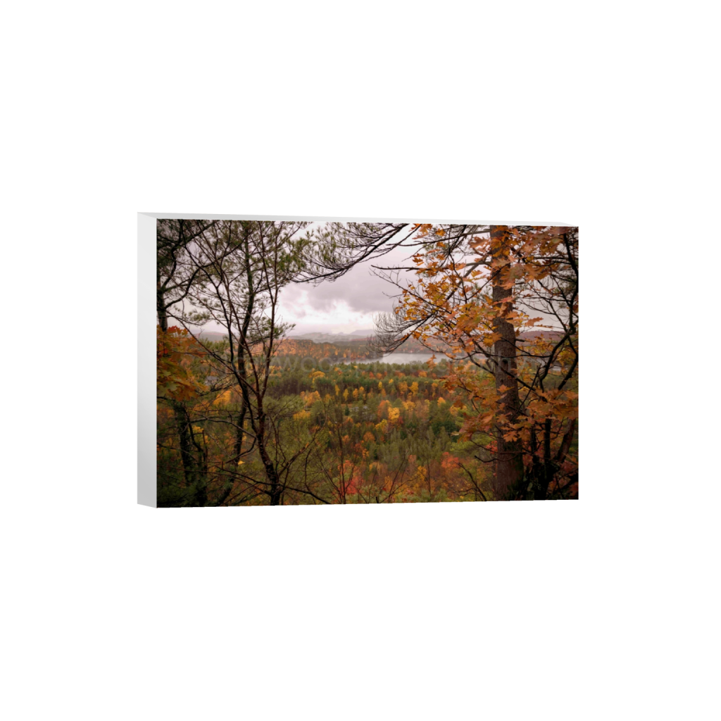 canvas_rectangle2_3_0_0_8256_5504_0_false_ffffff_0_0.png