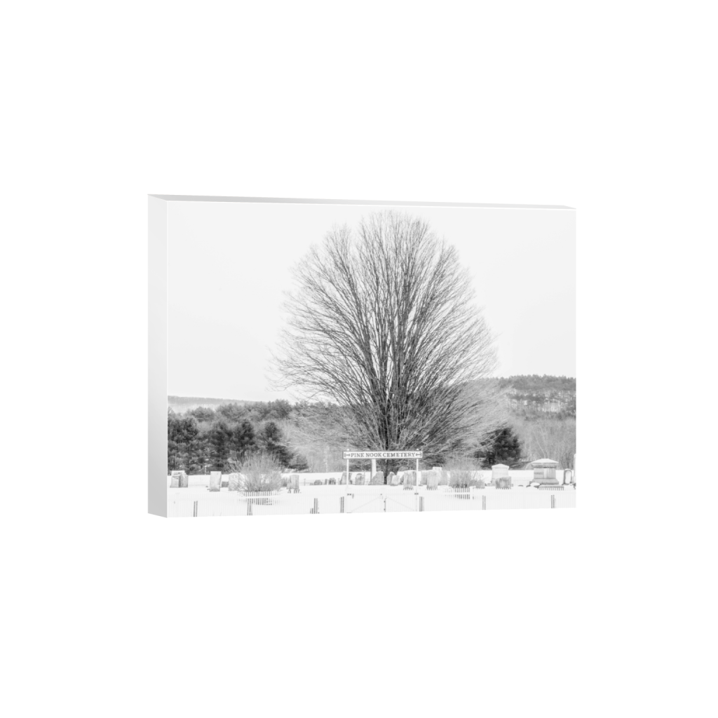 canvas_rectangle3_4_355_0_5676_4257_0_false_ffffff_0_0.png