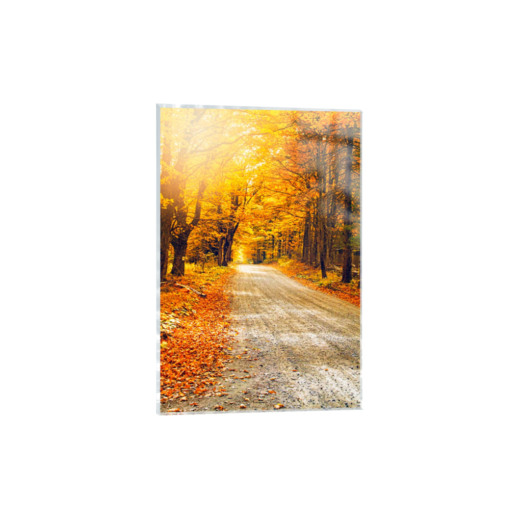 acrylicprint_rectangle2_3_1_0_2549_3824_0_false_ffffff_0_0.png