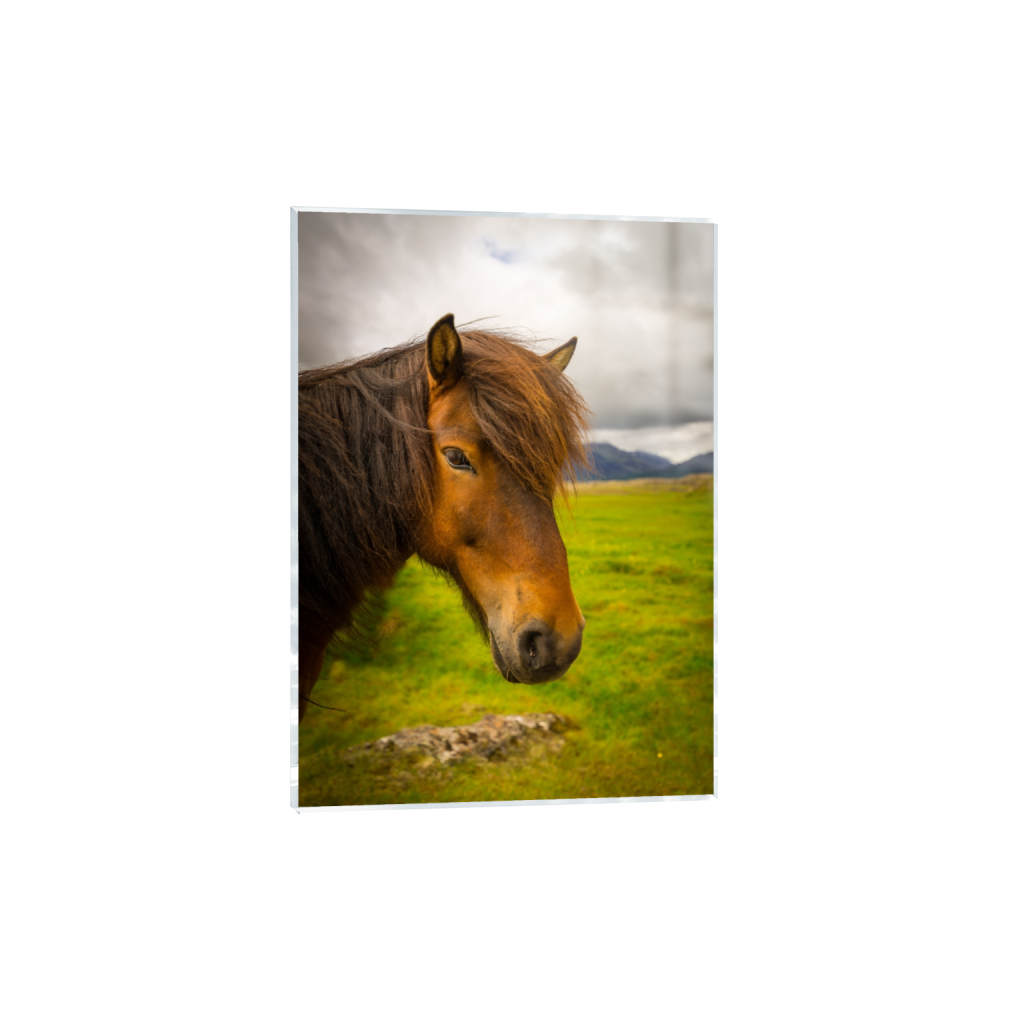 acrylicprint_rectangle5_7_0_196_4016_5622_0_false_ffffff_0_0.png