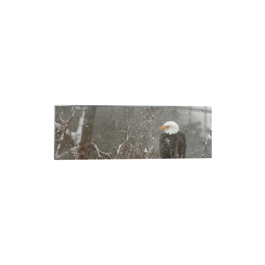 metalprint_rectangle1_3_0_0_3644_1214_0_false_ffffff_0_0.png
