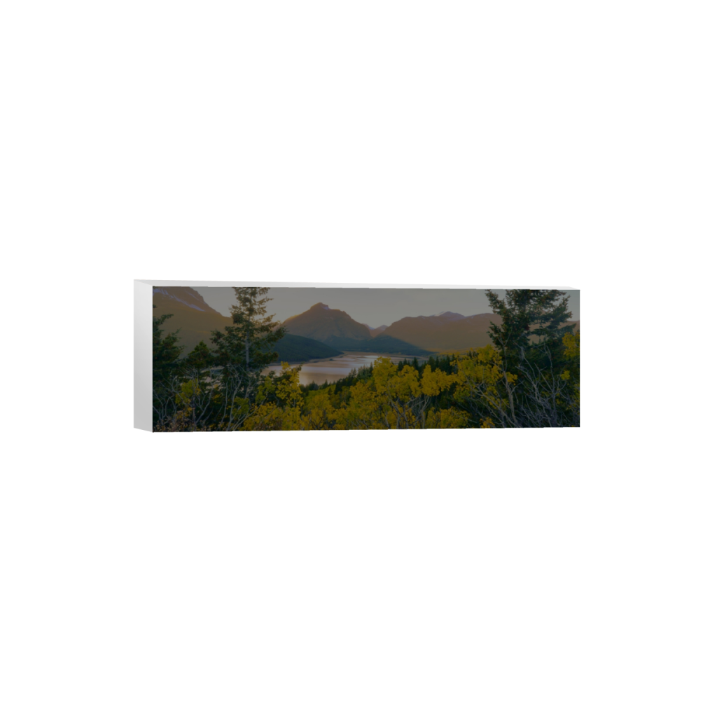 canvas_rectangle1_3_0_590_3691_1230_0_false_ffffff_0_0.png