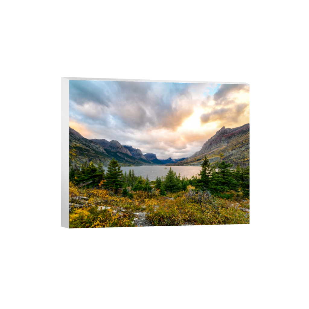 canvas_rectangle4_5_498_0_5020_4016_0_false_ffffff_0_0.png