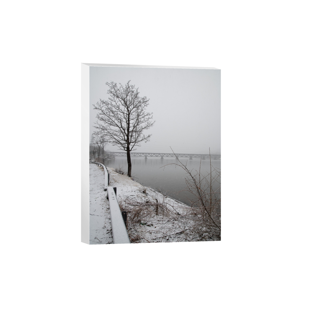 canvas_rectangle3_4_0_77_933_1244_0_false_ffffff_0_0.png