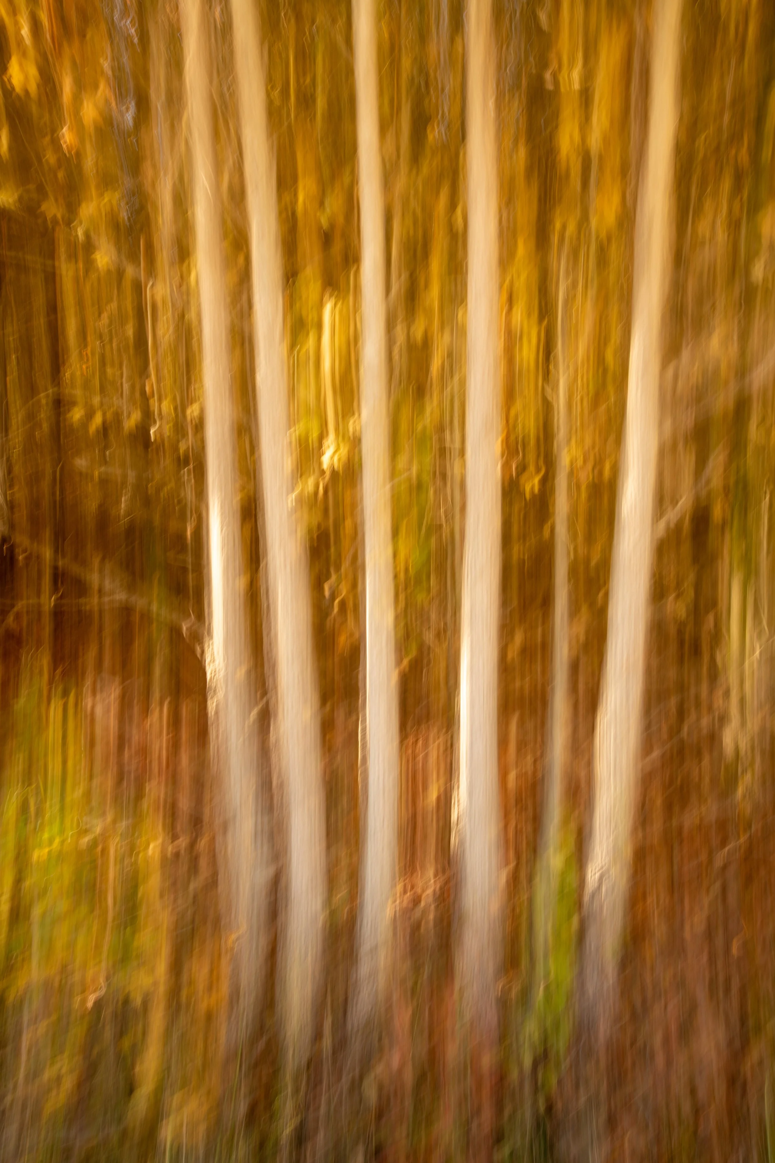 850_9720.jpg