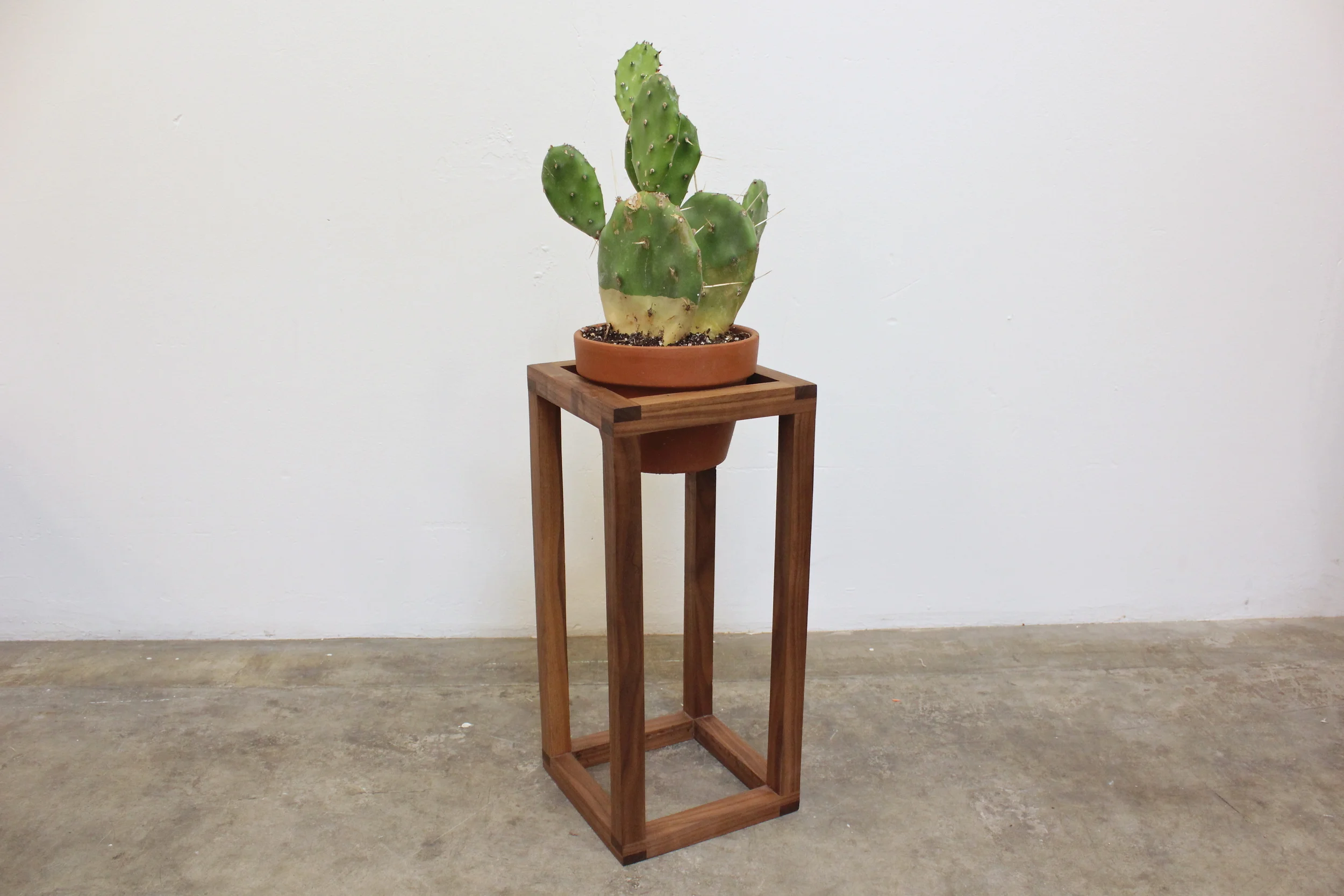 HECTOR PLANT STAND