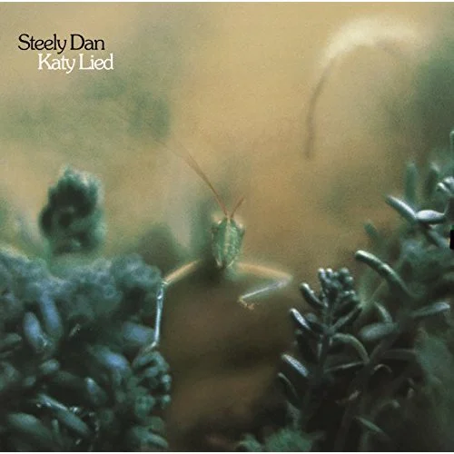 Steely Dan, Black Friday