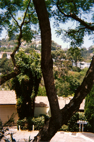 Hollywood Hills are bliss