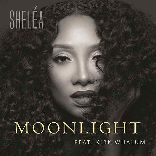 shelea2018.jpg