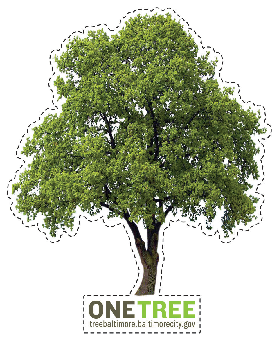 TreeBaltimore.MagnetArt.jpg