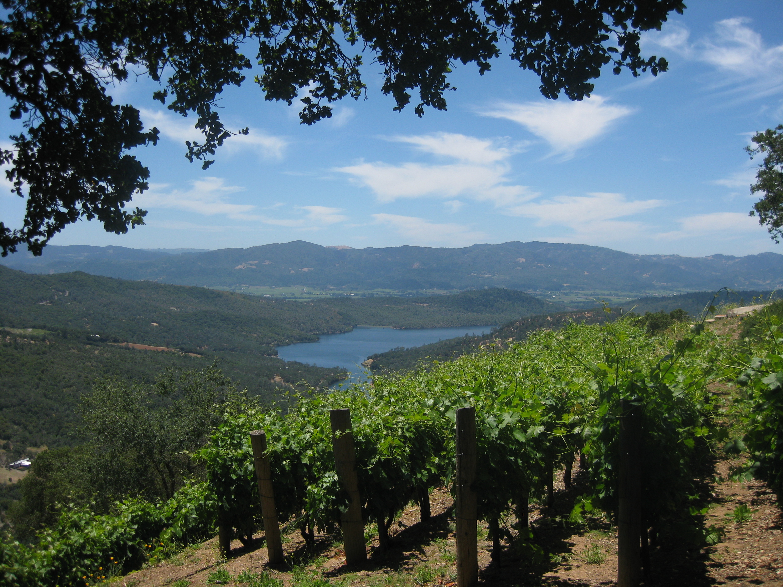 CA trip 2010 117.JPG