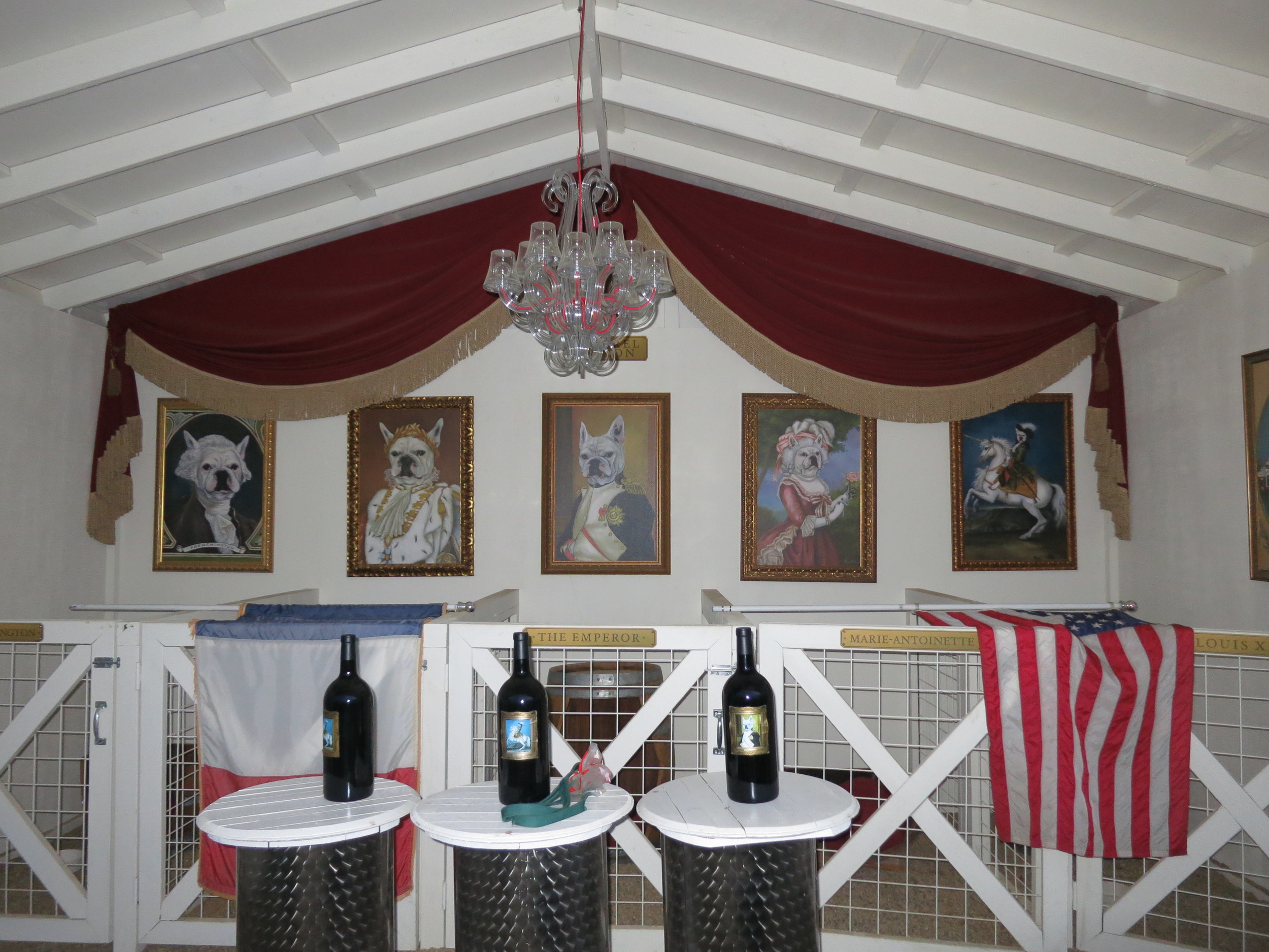 frenchie close up.JPG