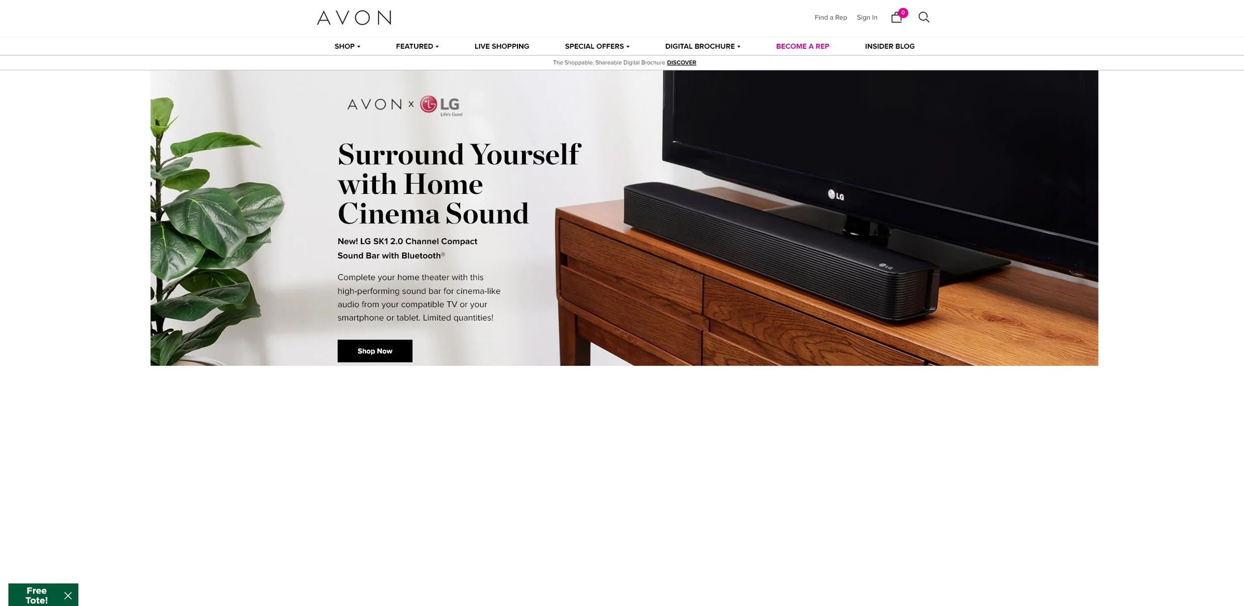Avon_Screengrab.jpg