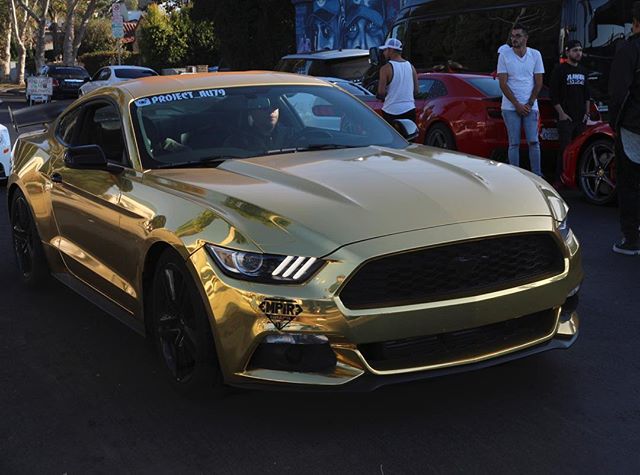 Golden GT350
Owner: @Project_AU79
#Mustang #GT #GT350