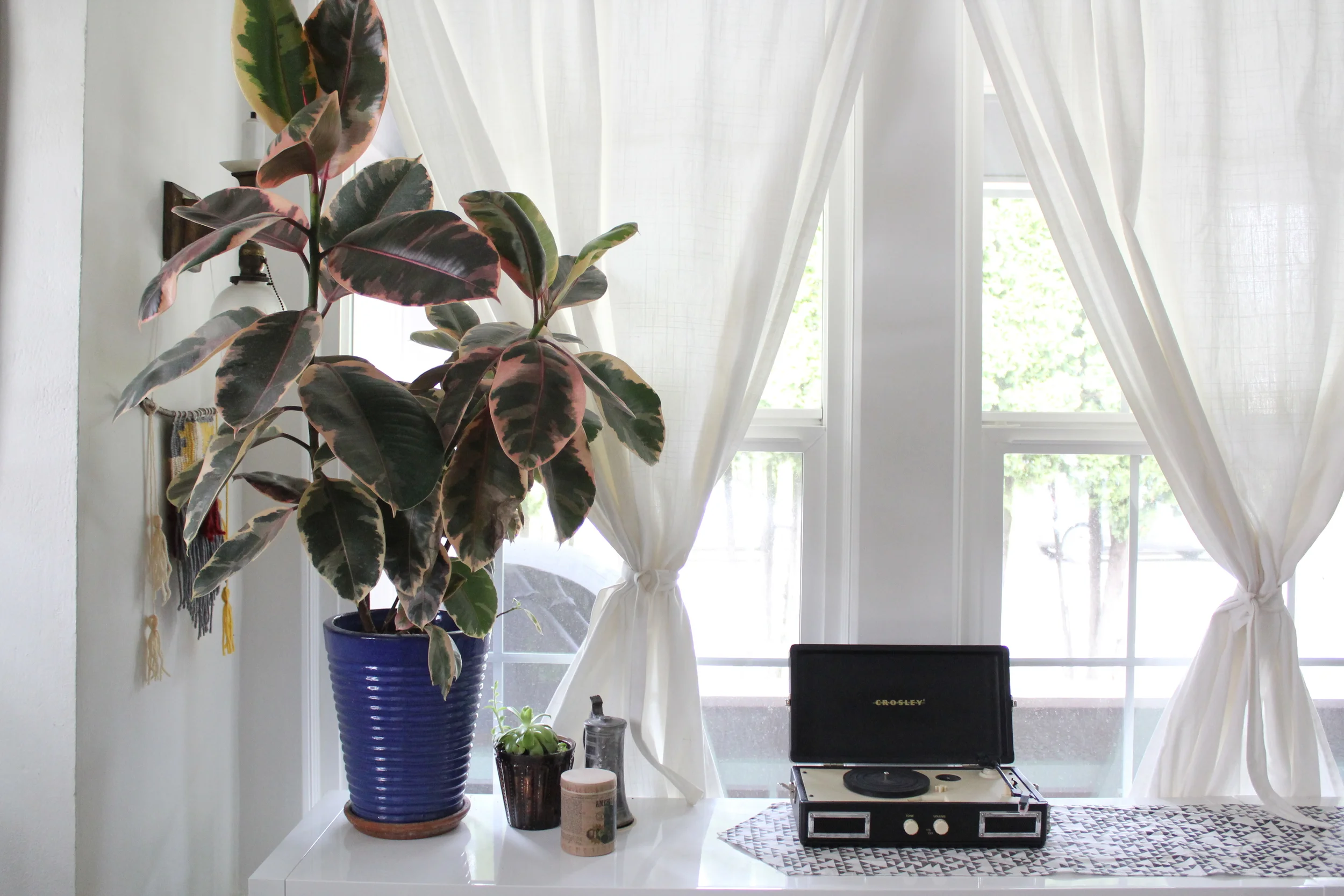 Holly Schnackenberg_6179.JPG