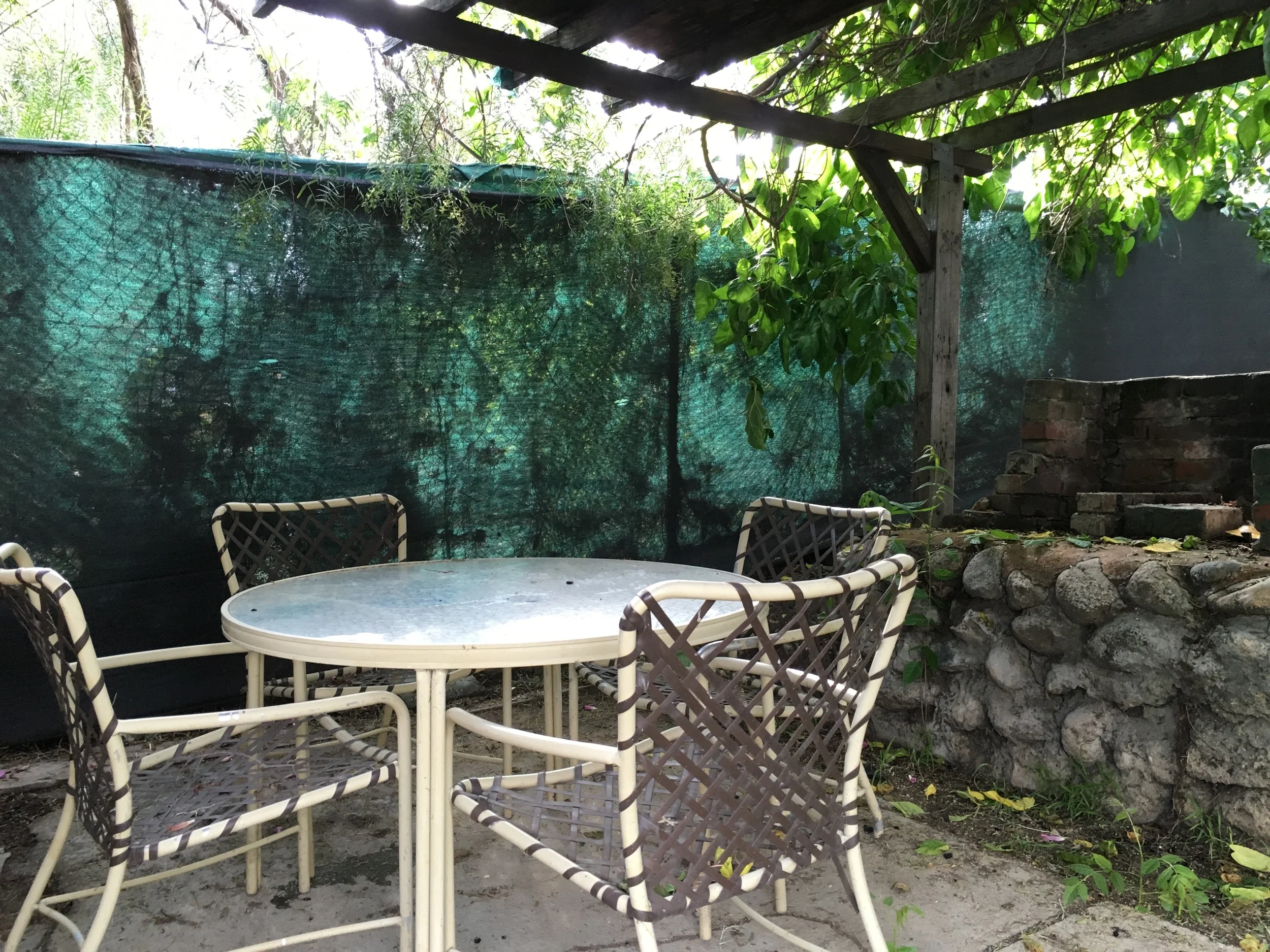 yard_09.jpg