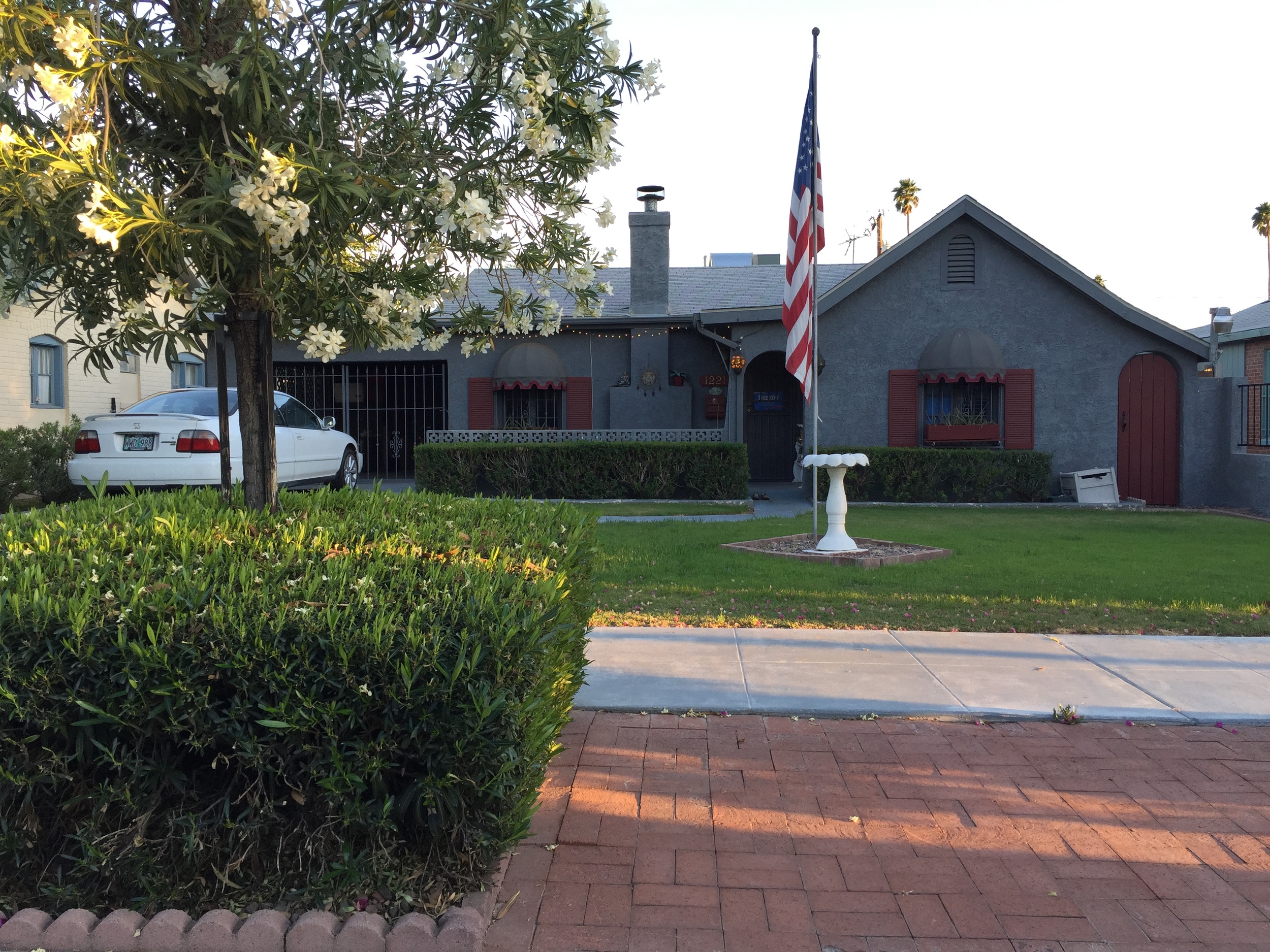 Front Yard (1).JPG