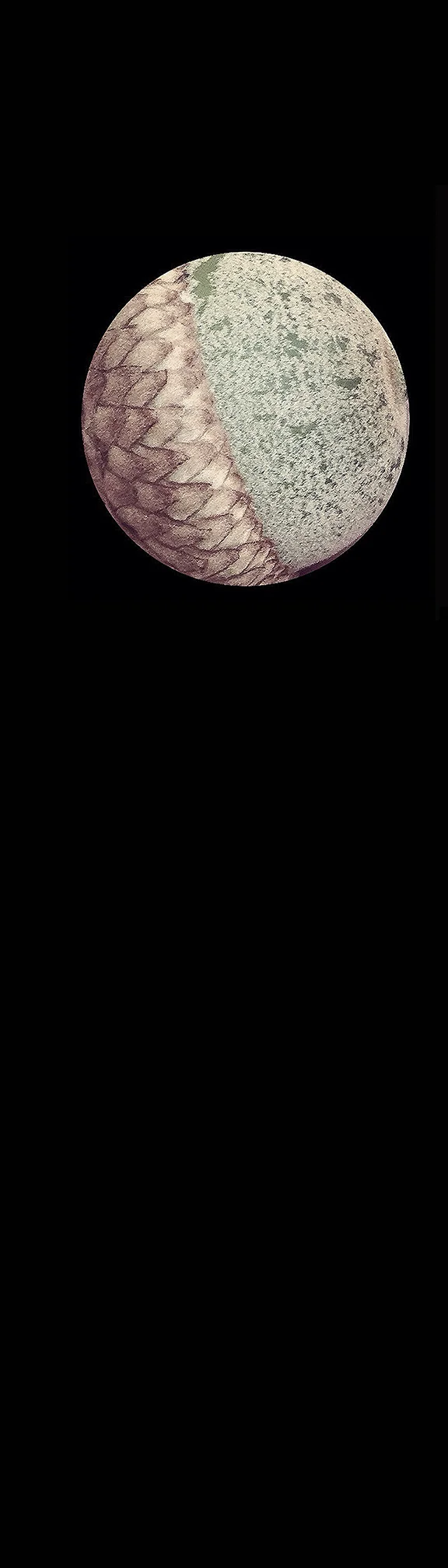 The Acorn Moon