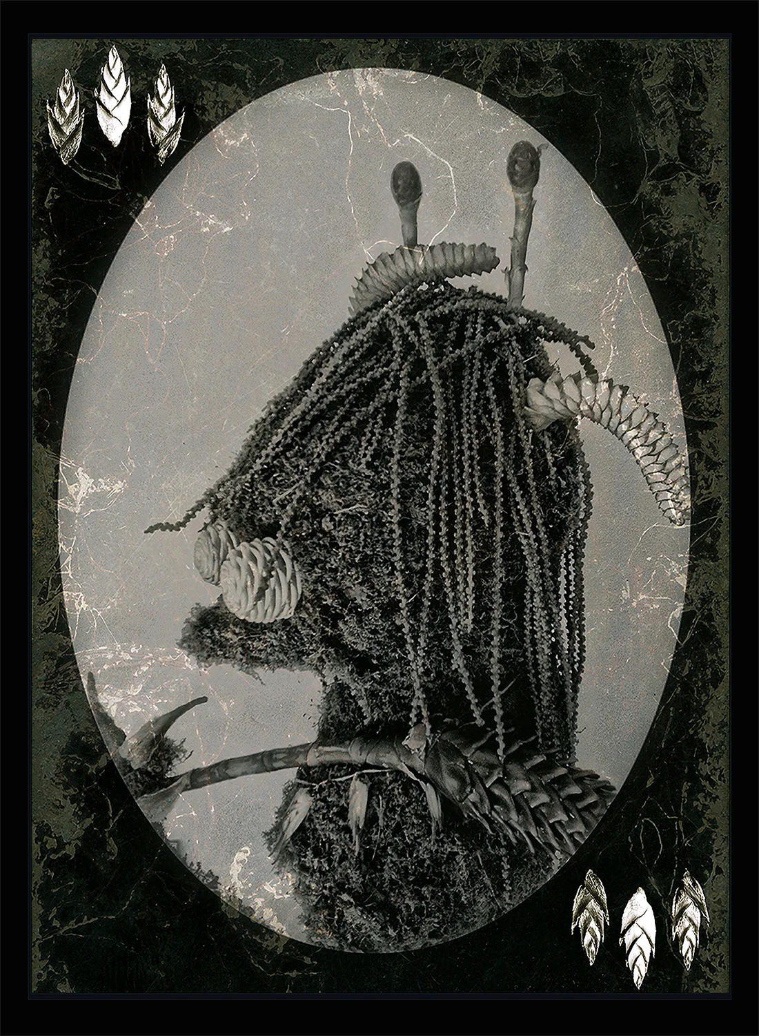 Shaman