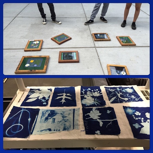 makingcyanotypes.jpg