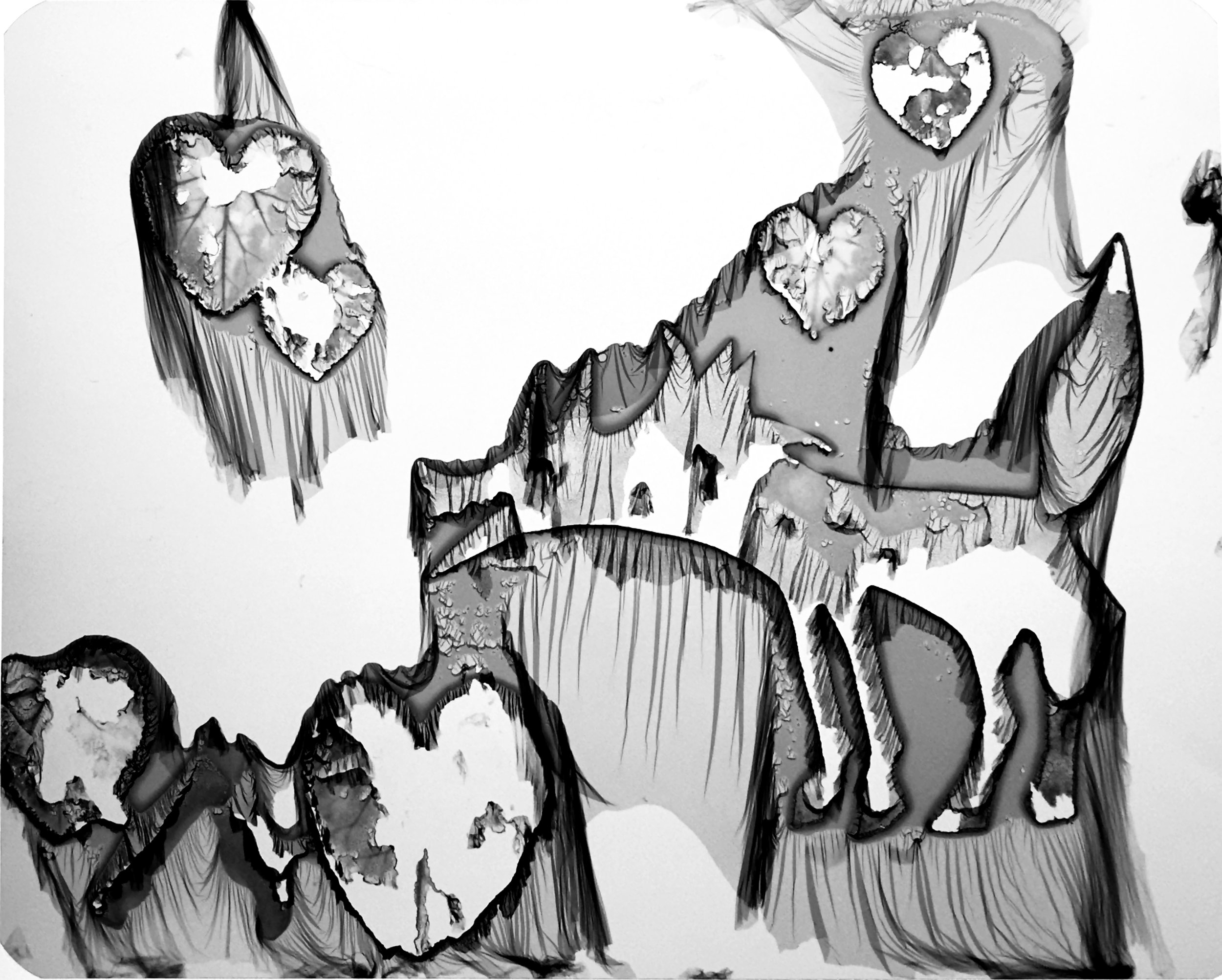 pseudomordencage_xrayfilm.jpg