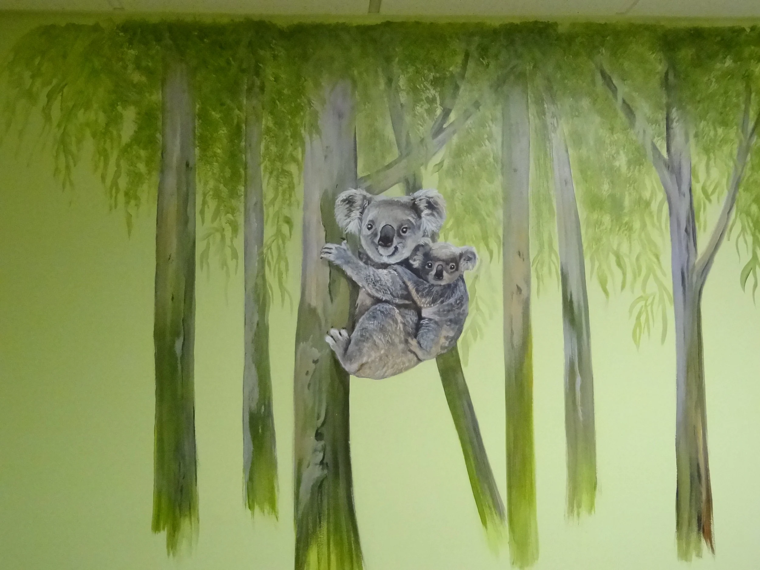 Austrailian koala Exam Room #5