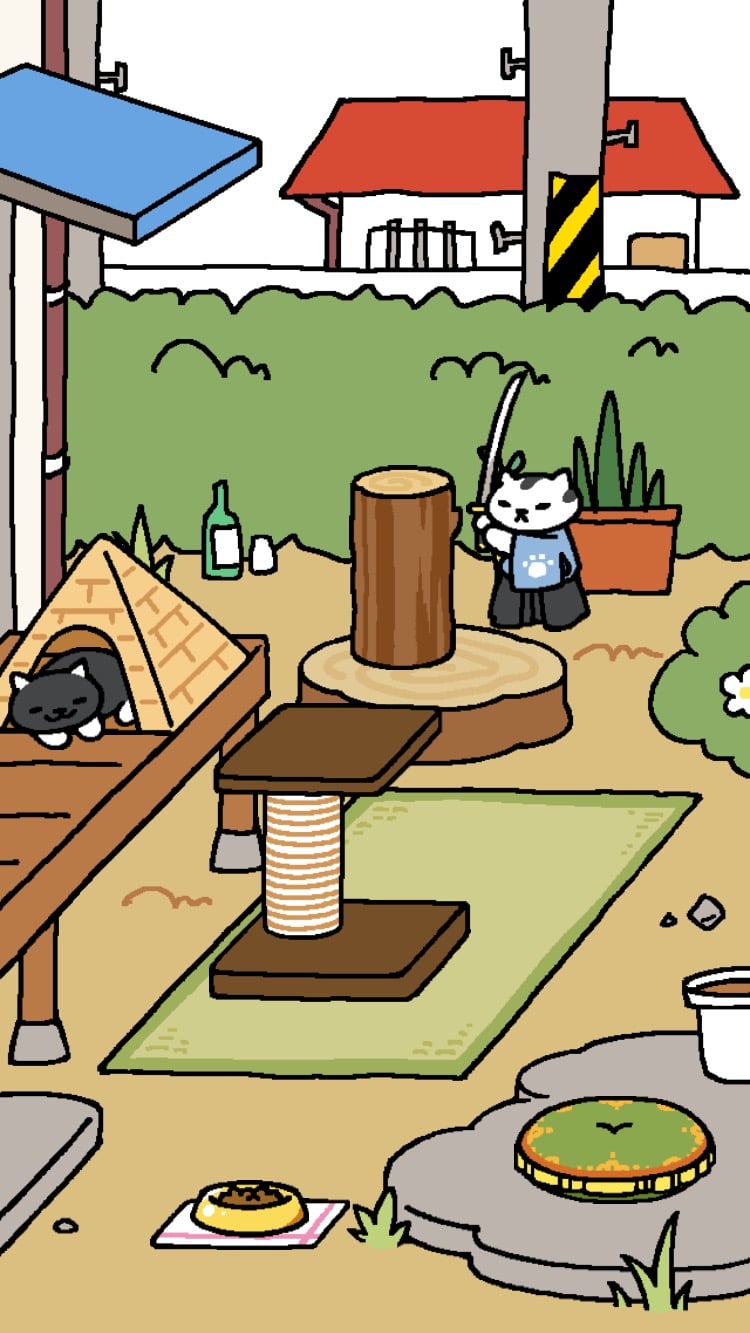 "Mr. Meowgi"