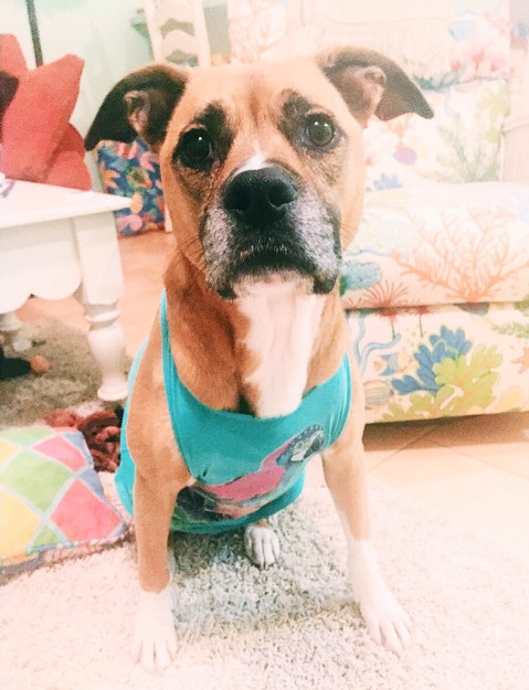 Avery's got his game face on and promises to be the best study buddy. 