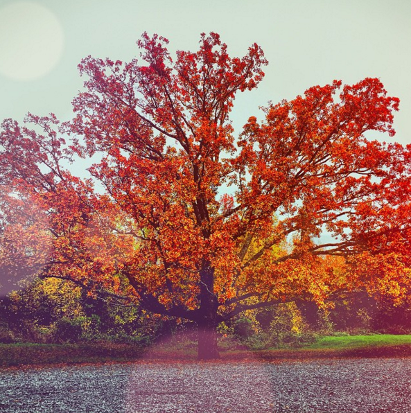 The Beautiful Change of Season at Assurance