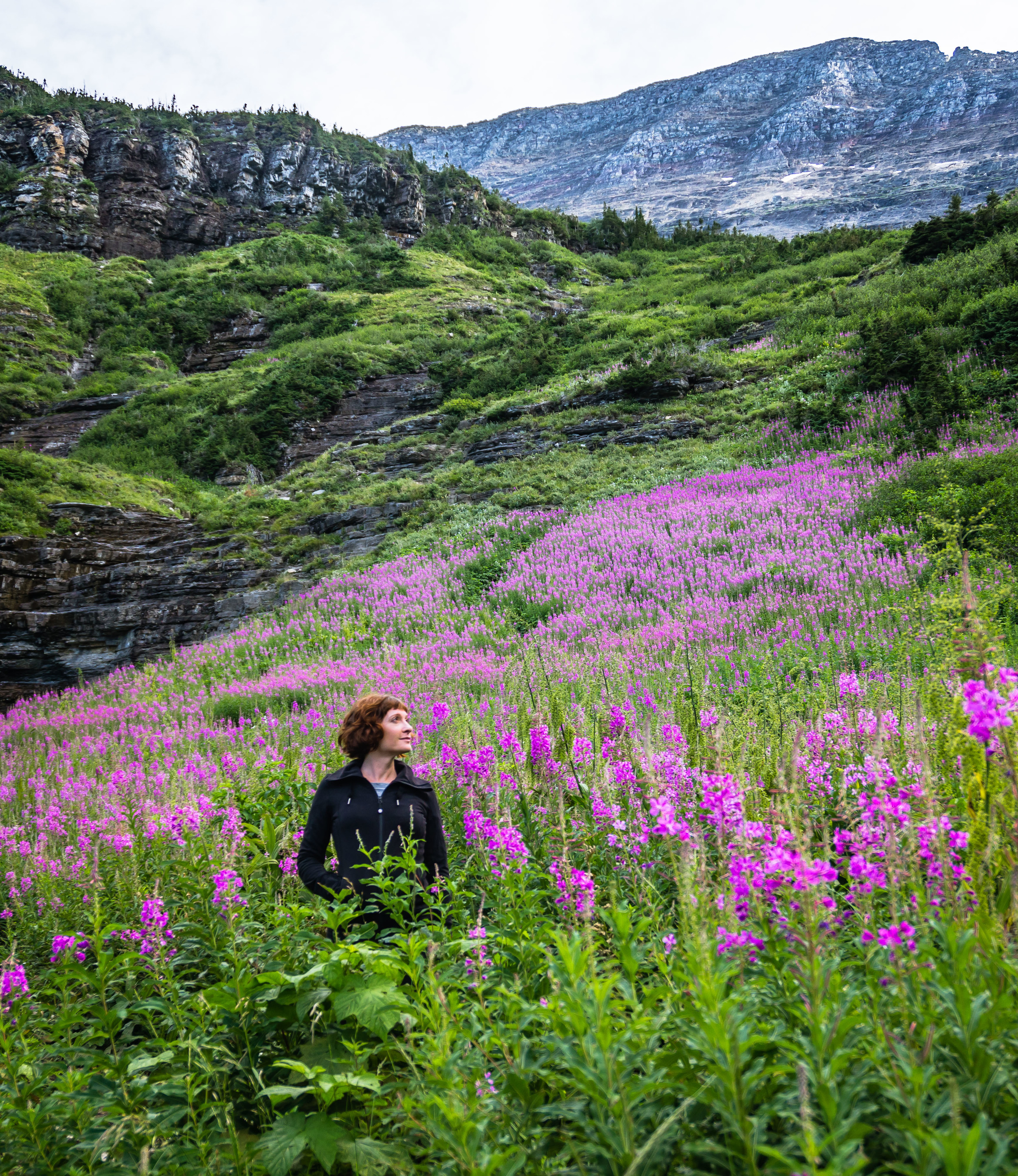 #glacier #glaciernp #montana #flowers #mountains #estherloopstra