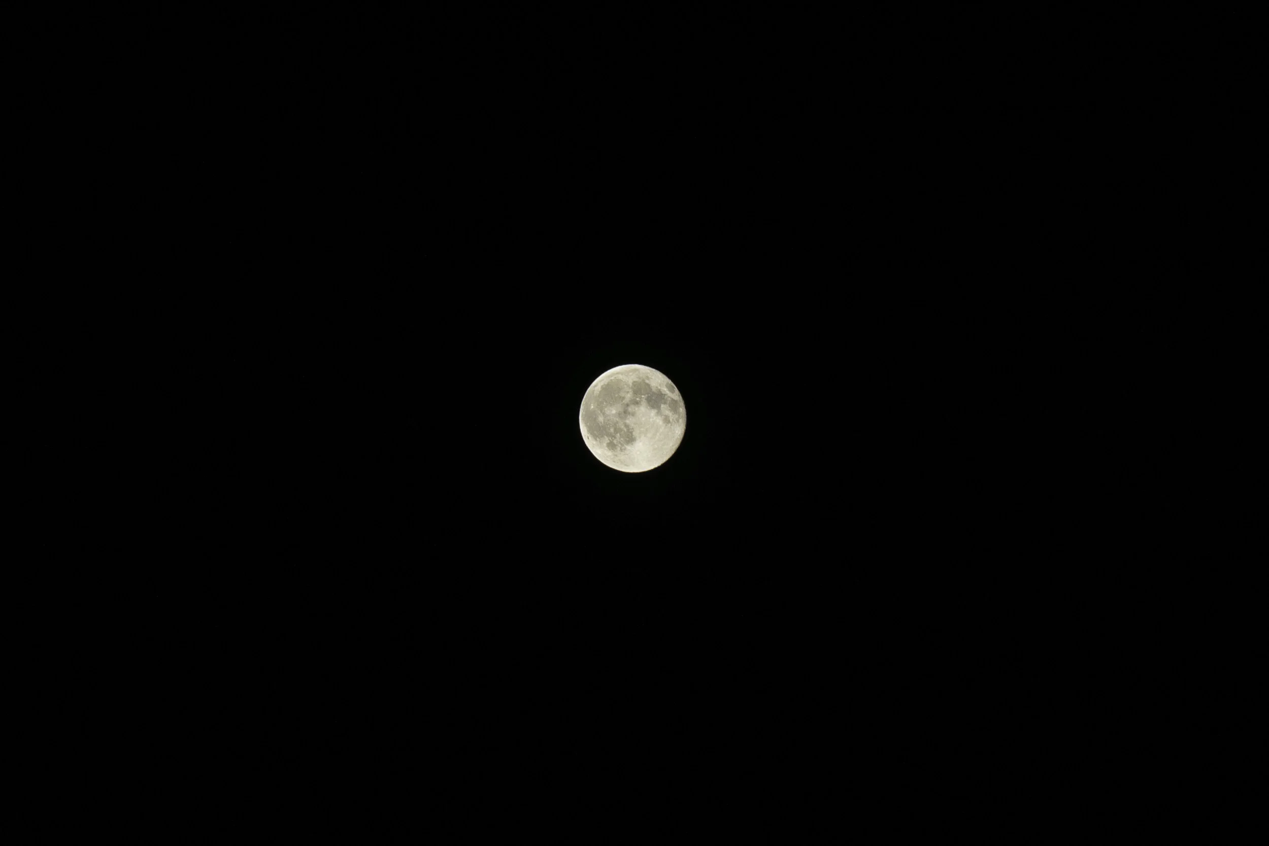 20150731.jpg