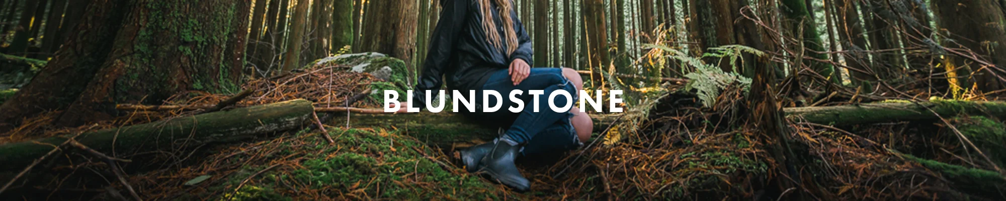 Blundstones Banner.jpg