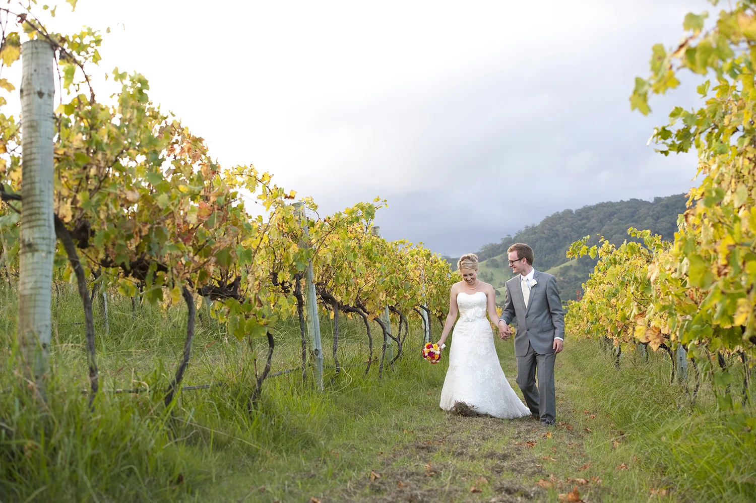 Vineyard Wedding
