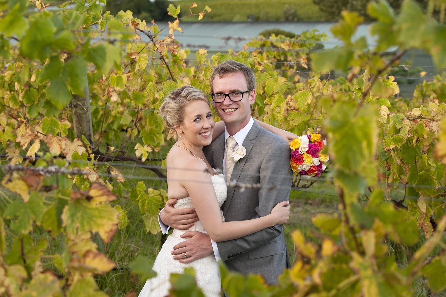 Vineyard backdrop