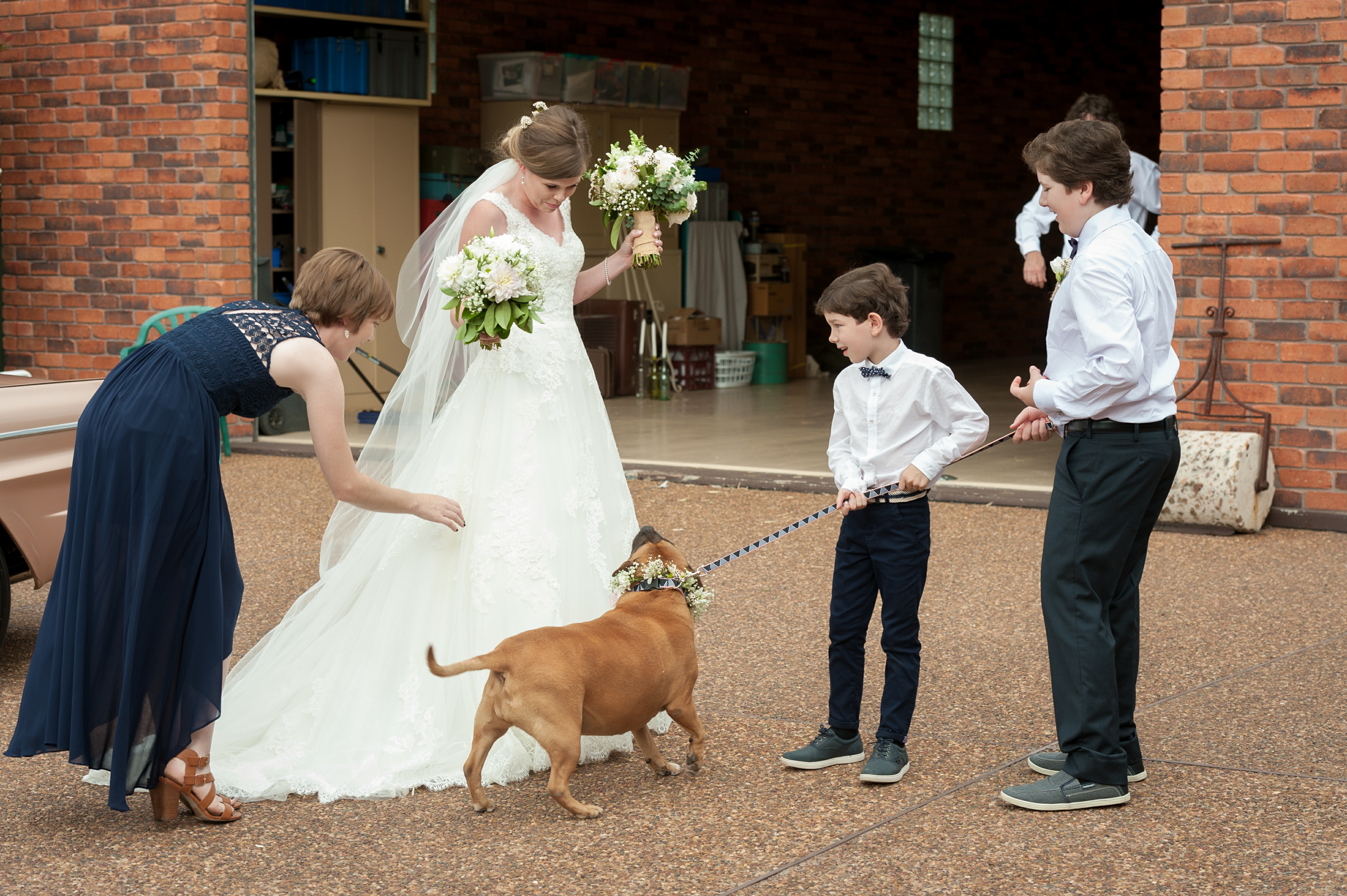 wedding_pet_capri
