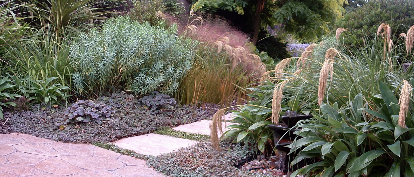 NZ native planting in a Christchurch coastal garden