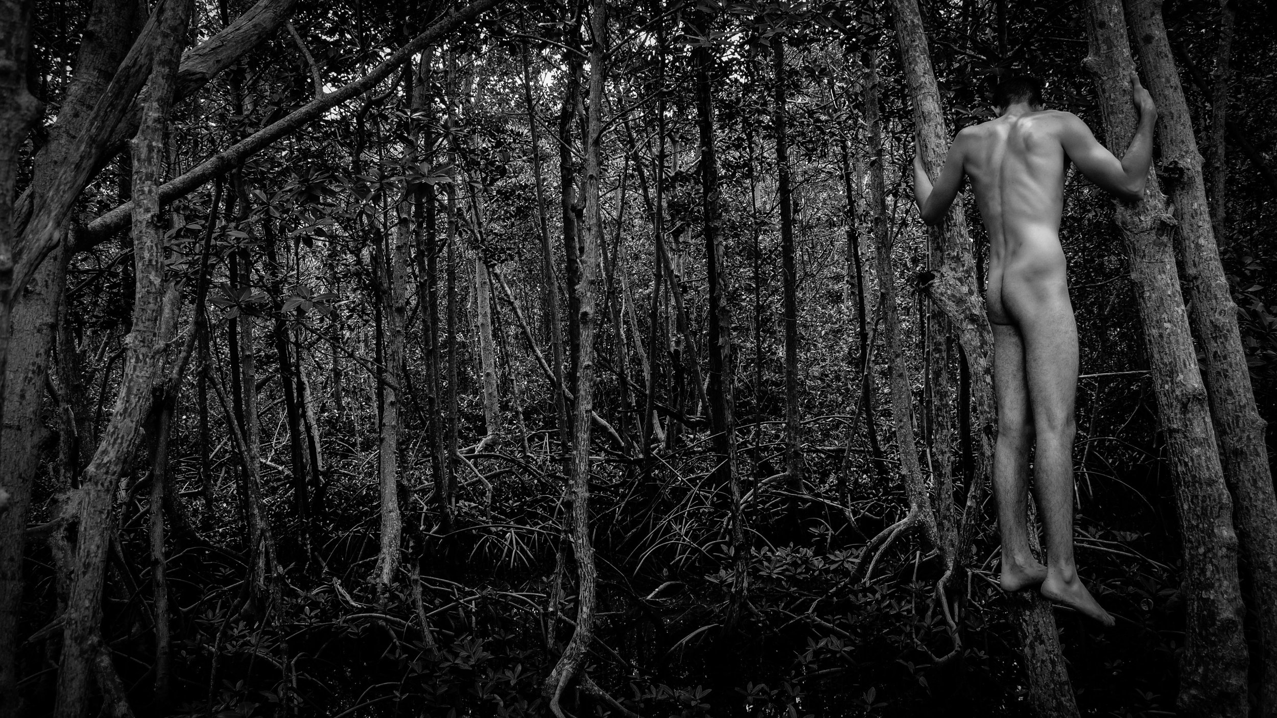 Bodies Without A Place 5.JPG