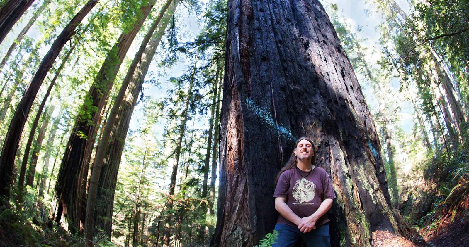 Environmental activist Rob DiPerna stands in front of a 1,000-year-old redwood in the Headwaters Forest Reserve. The blue paint once marked it for the sawmill. (Photo: Mary Grace McKernan)