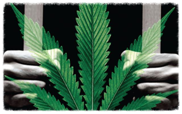 Such imagery as this is used to push the myth of mass marijuana incarceration.