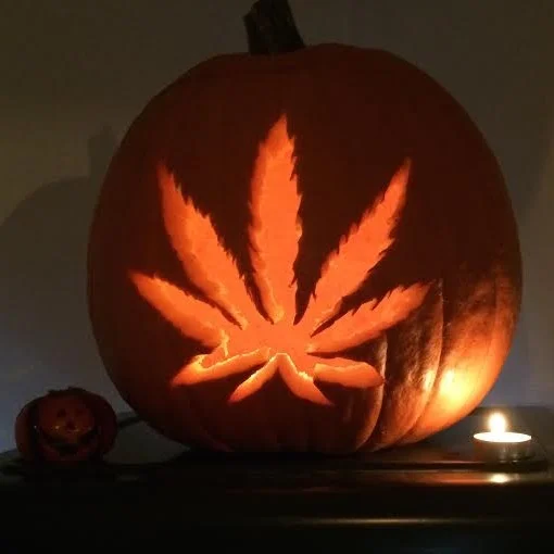Just in time for Halloween: Edible marijuana sending kids to the ER