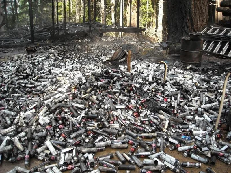 Toxic waste from U.S. pot farms alarms experts