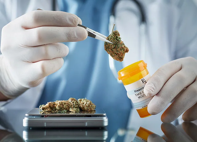Medical Marijuana Riddled with Toxic Contaminants That Can Kill You