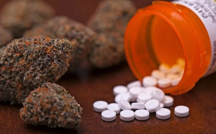 Why Marijuana is Not Medicine