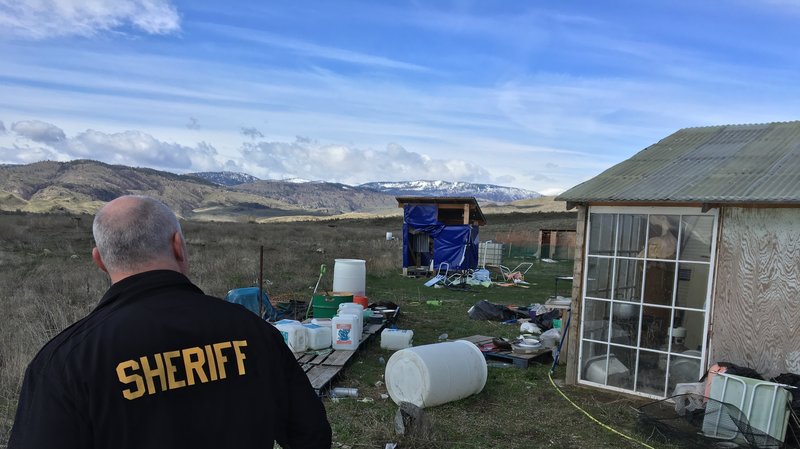 Okanogan County Chief Criminal Deputy Steve Brown surveys the debris left over from an illegal pot farm that had masqueraded as a legal operation.