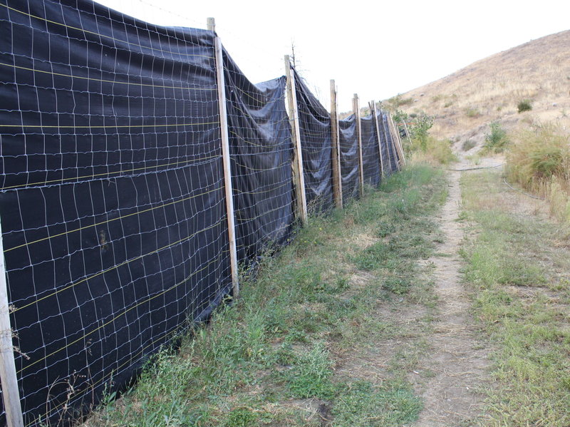 An illegal marijuana farm shielded from view with fencing that investigators believe was meant to mimic the fencing around legitimate pot farms.