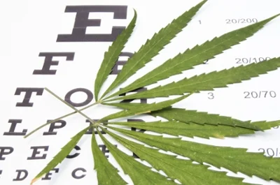 GLAUCOMA AND THE MARIJUANA MYTH