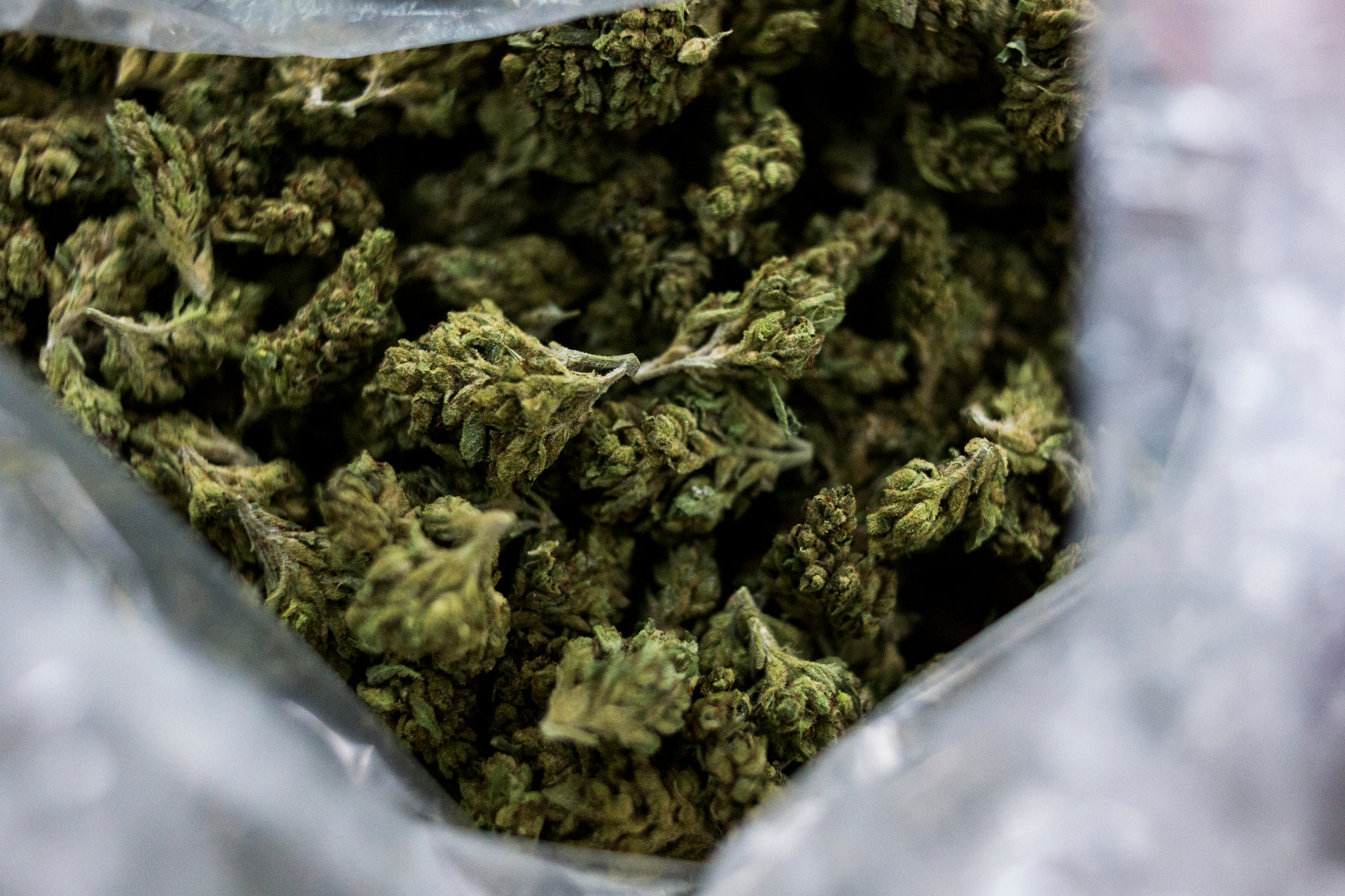 It’s been a little more than a year since California legalized marijuana, but the illegal market is still thriving and in some areas has even expanded. CreditJenna Schoenefeld for The New York Times